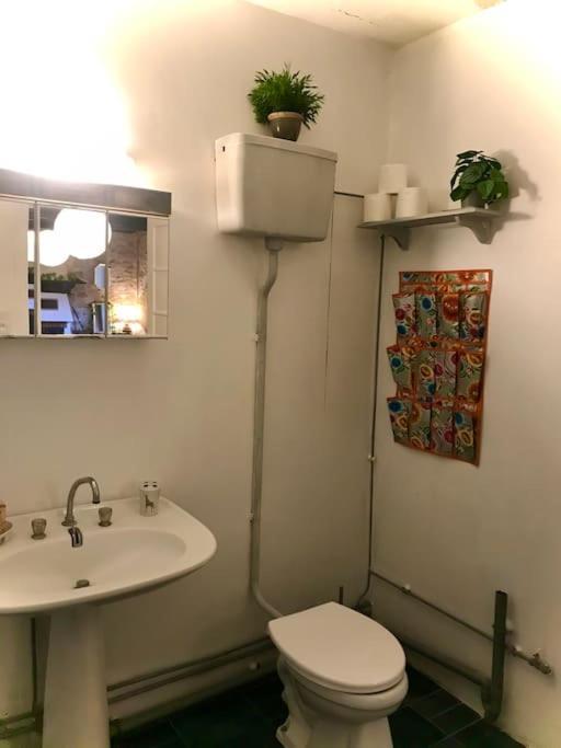 Maison Des Sequoias - Parc 1 Hectare- Veyrac Kültér fotó
