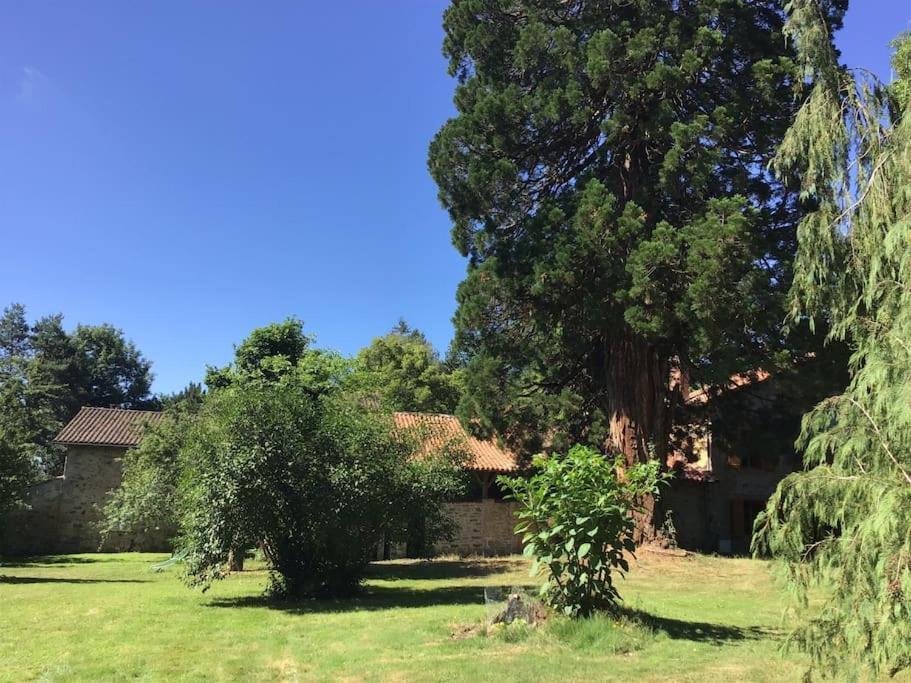 Maison Des Sequoias - Parc 1 Hectare- Veyrac Kültér fotó