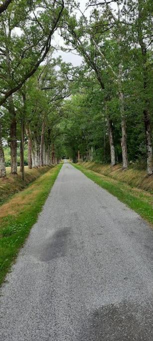 Maison Des Sequoias - Parc 1 Hectare- Veyrac Kültér fotó