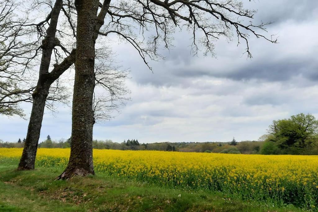 Maison Des Sequoias - Parc 1 Hectare- Veyrac Kültér fotó