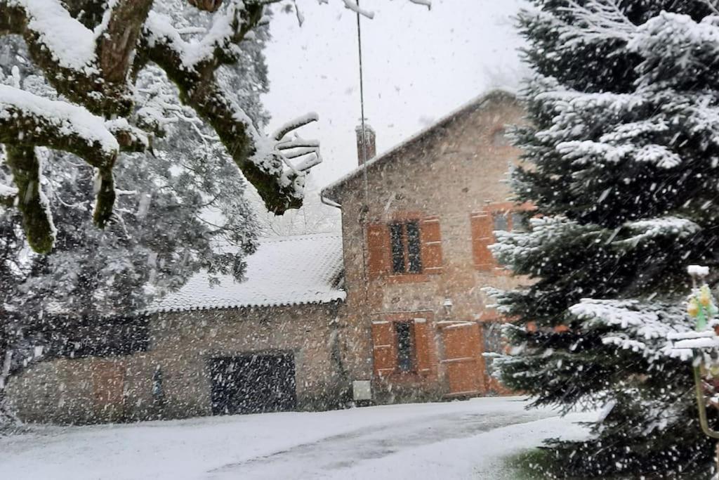 Maison Des Sequoias - Parc 1 Hectare- Veyrac Kültér fotó