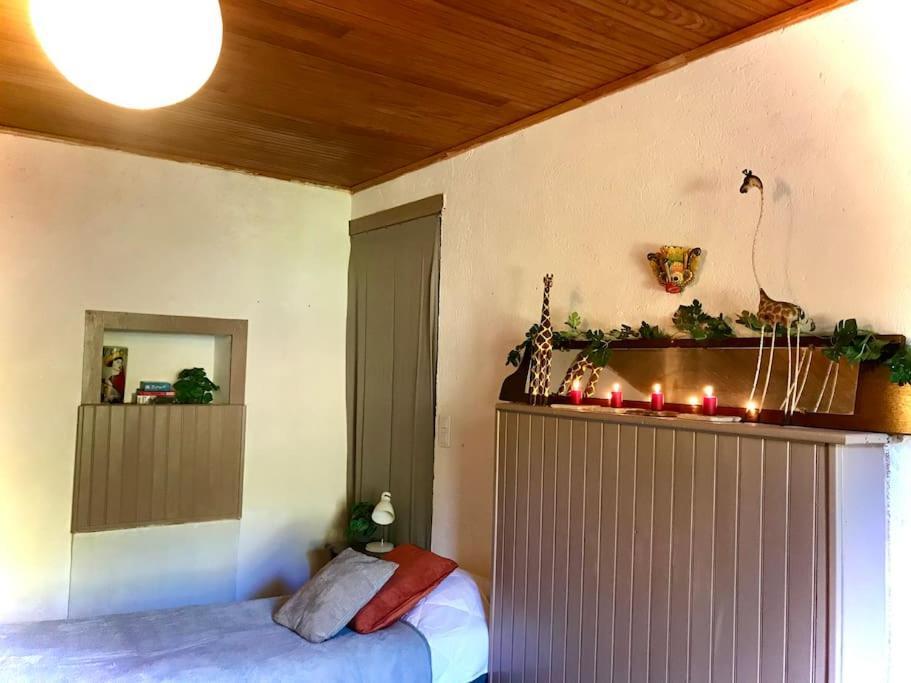 Maison Des Sequoias - Parc 1 Hectare- Veyrac Kültér fotó